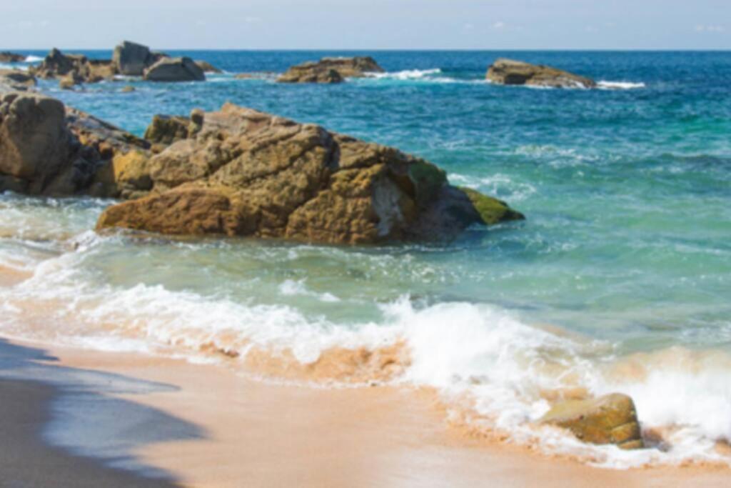 Le Petit Cote Ouest - Appt Dans Les Pins Pres De La Plage Les Sables-dʼOlonne Exterior foto